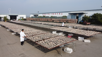 大冶 做足漁業(yè)文章，盤活水產(chǎn)經(jīng)濟(jì)，打造特色農(nóng)產(chǎn)品新名片