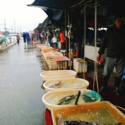 無錫小溪橋水產(chǎn)批發(fā)市場(chǎng) 地址、電話、營業(yè)時(shí)間與美食探尋指南