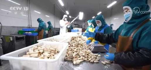 大食物觀引領(lǐng)水產(chǎn)產(chǎn)業(yè)升級(jí) 預(yù)制菜如何延長水產(chǎn)養(yǎng)殖價(jià)值鏈